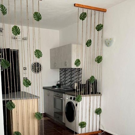 Ferienwohnung Garsoniera Saturn Mangalia Exterior foto